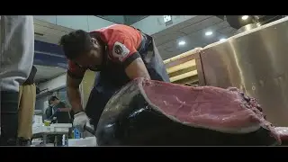 Tsukuda Tuna VLOG | 