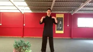 Tocar el laúd. Tai chi