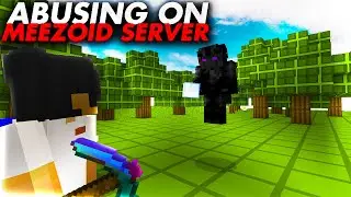 Abusing Partner rank on MeeZoids server...