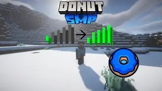How To Fix Lag On DonutSMP