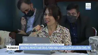 SDORA. LUCILA CREXELL - PLENARIO DE COMISIONES 06-04-22