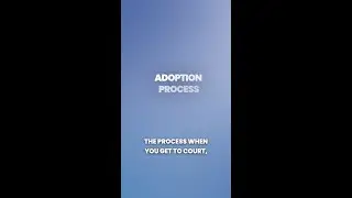 A Heartwarming Day in Court: Stepparent Adoptions