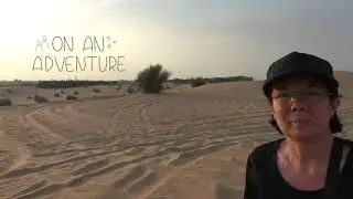 Dubai - Desert- Safari - 07.12.2017
