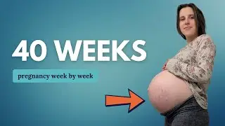 40 Weeks Pregnant 🤰 What to Expect: Changes for You & Baby Movement and Development
