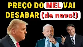 COMO tarifação do Trump pode derrubar PREÇO DO MEL no Brasil