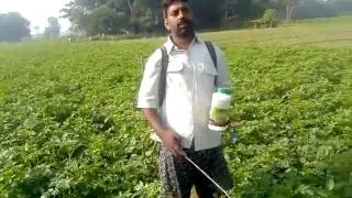 GALWAY KRISHAM JAIVIK KHETI