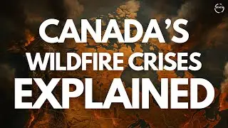Canada's Wildfire Crisis Explained | Evacuations, Air Quality & Climate Change in Numbers