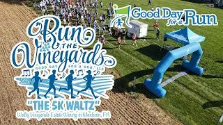 Run the Vineyards - 