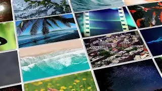 無料のAdobe Stock素材にアクセス：ビデオを高度に編集