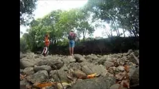 Australian bass on the sunny coast
