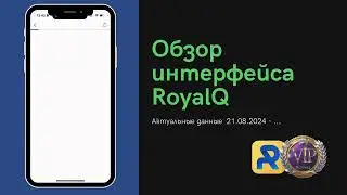 Обзор интерфейса Royal Q   август 2024