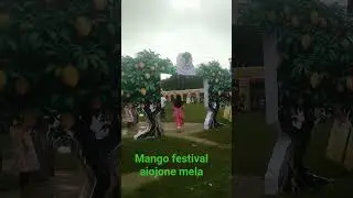mango festival aiojone mela 2din