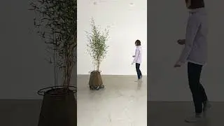 BIOSENSITIVE PERFORMANCE - ANNA PROKOPOVA & BAMBOO #biosensitive #performance #annaprokopova #shorts