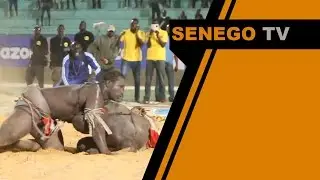Modou Anta bat Zarko