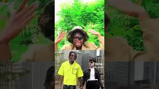 Five Gambian artists that, take good care of their wife