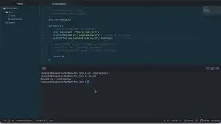 Pre Define vs User Define In Programming