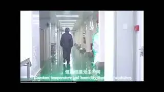 Multi-functional Coating and Laminating Production Line