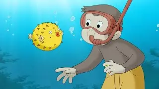 Jorge visita un arrecife de coral 🐠 Jorge El Curioso En Español