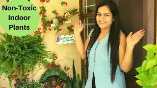 Pet friendly Indoor Plants||Non-Toxic plants for cats/Dogs||Non poisonous shade loving plants