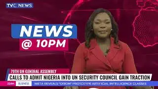 Calls To Admit Nigeria Into UN Security Security Council Gain Traction
