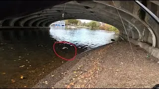 River Fishing Under Bridge With Live Shiners For Whatever Bites!
