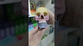 Набор для опытов &laquo;Череп человека&raquo;, анатомическая модель #toys #обзор #игрушки