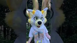 Kito is my baby😂 #shorts #viral #boost #fyp #furries #fursona #coyote #funny