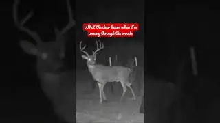 `let&rsquo;s be so for real #hunting#deer#outdoors#viral#shorts￼