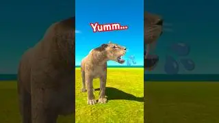 Part 1 - What is going on in Lions Island? #lion #animals #funny