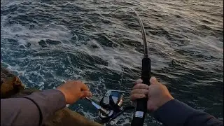 Finding the best lure for the job! | Shore casting & Shore Jigging for Kingfish | Botany Bay, NSW