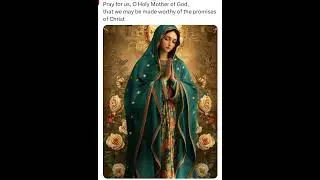 Pray for us, O #Holy #Mother of #God, that we may be made worthy of the promises of Christ