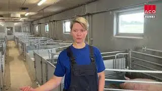 Future-proof pig farming with slurry hoppers | ACO Funki