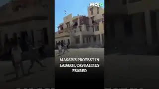 Ladakh Protest Turns Violent: 4 Dead, 70+ Injured, Confirms Leh Apex Body