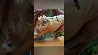 Shorts: Delicious Chicken Cooking Adventure