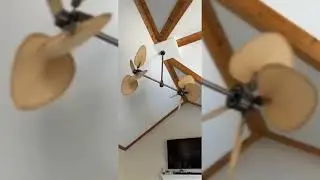 Fanimation Palisade Ceiling Fan