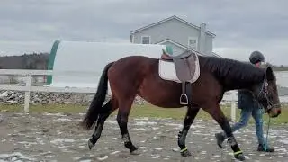 Red Level Jan 2022 Equagility