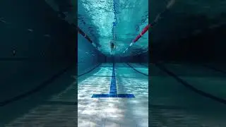 What is total immersion freestyle swimming? (More info in description)