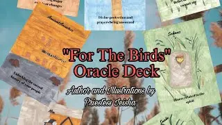Let's Talk About My New Oracle Deck 