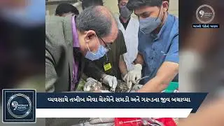 Vadodara bird rescue | વડોદરાના&nbsp;મનપાના&nbsp;સ્થાયી સમિતિ ચેરમેનની&nbsp;કરુણા