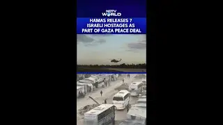 Hamas Hands Over 7 Israeli Hostages To Red Cross