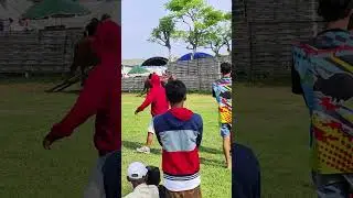 Bull Karapan Sapi HUT Tim Hajar Boss