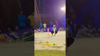 shadow cricket 🏏🔥💛💙🌍🏏