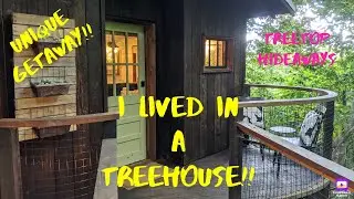We Lived in a Treehouse | Treetop Hideaways | Explore Chattanooga