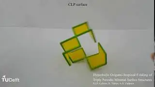 Self-folding of a minimal surface, TUDelft, Prof. Amir A. Zadpoor's group