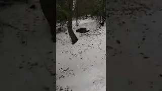 Snow hike at pipeline track in winter(3)
