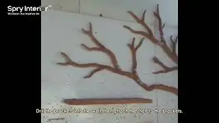 Simple Steps to Build Your Tree Bookshelf | Install Tree Bookshelf | Must-Have Tree Bookshelf 2026