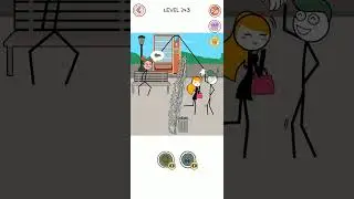 Thief puzzle level 243