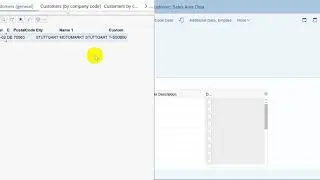 SCM600-Exercise 4.3 Change Customer Master Record (SAP SD Tutorial)
