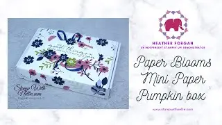 Mini Paper Pumpkin boxes for Hotel Chocolat gifts