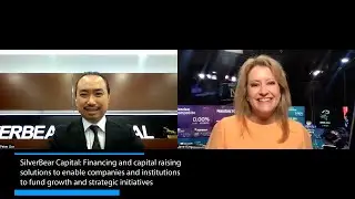 SilverBear Capital: Financing and capital raising solutions institutions